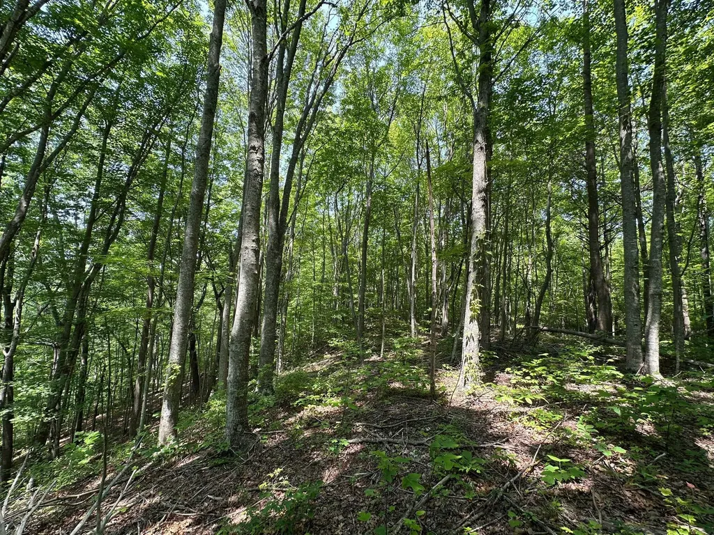450 Ky Highway 542 Jackson KY 41339