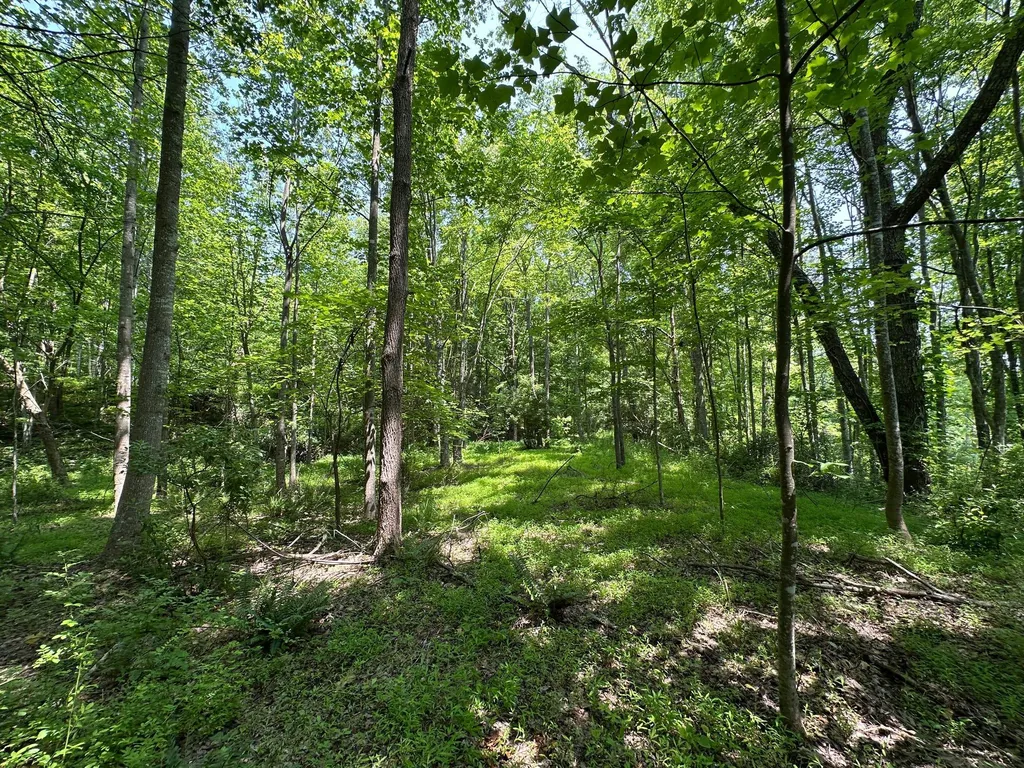 450 Ky Highway 542 Jackson KY 41339