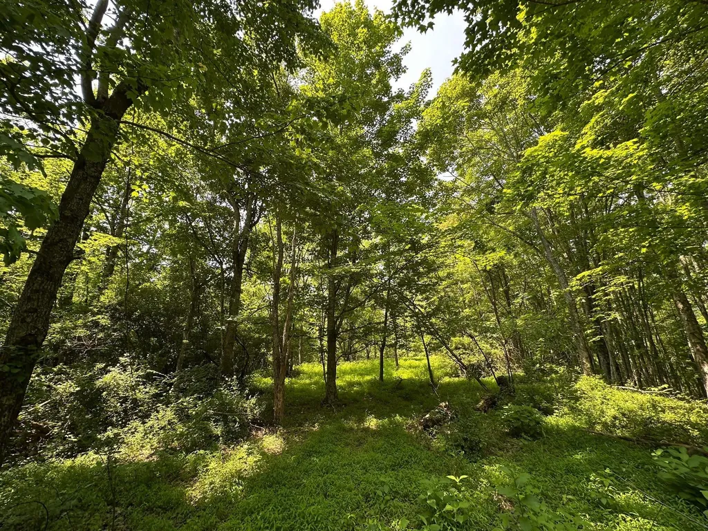 450 Ky Highway 542 Jackson KY 41339
