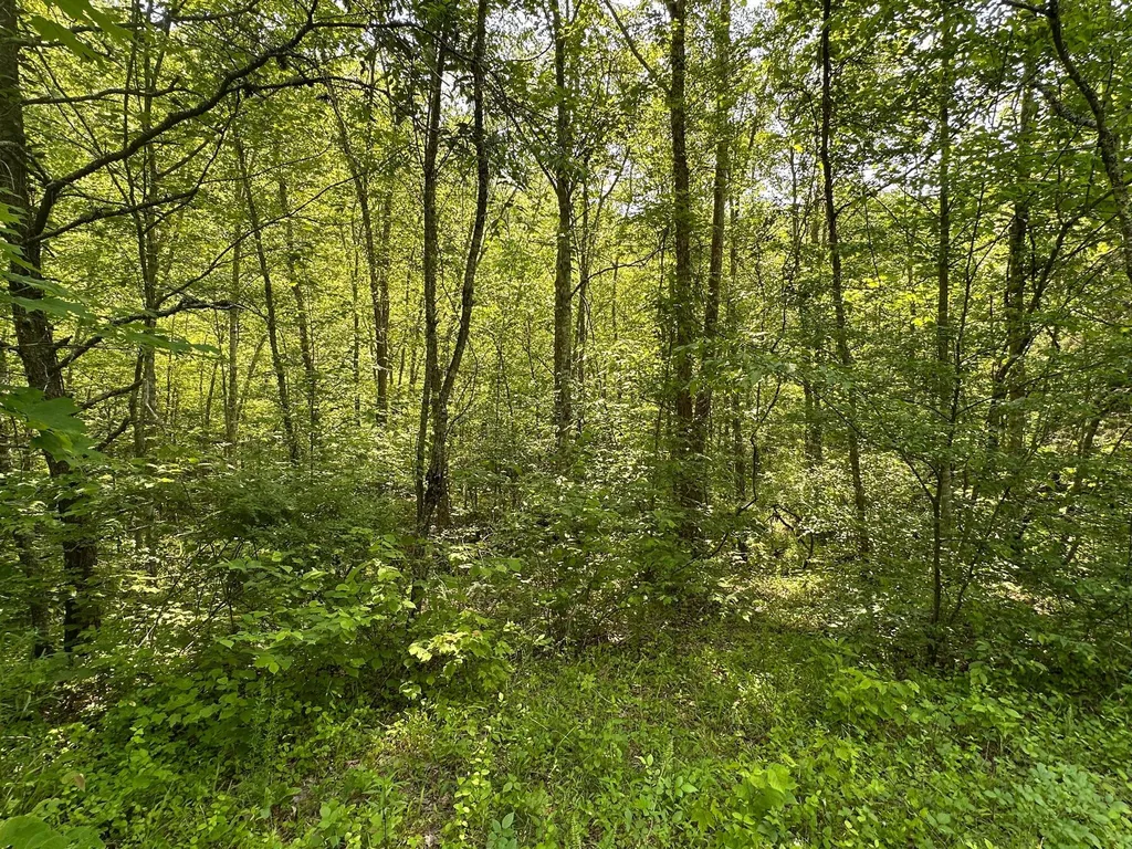 450 Ky Highway 542 Jackson KY 41339