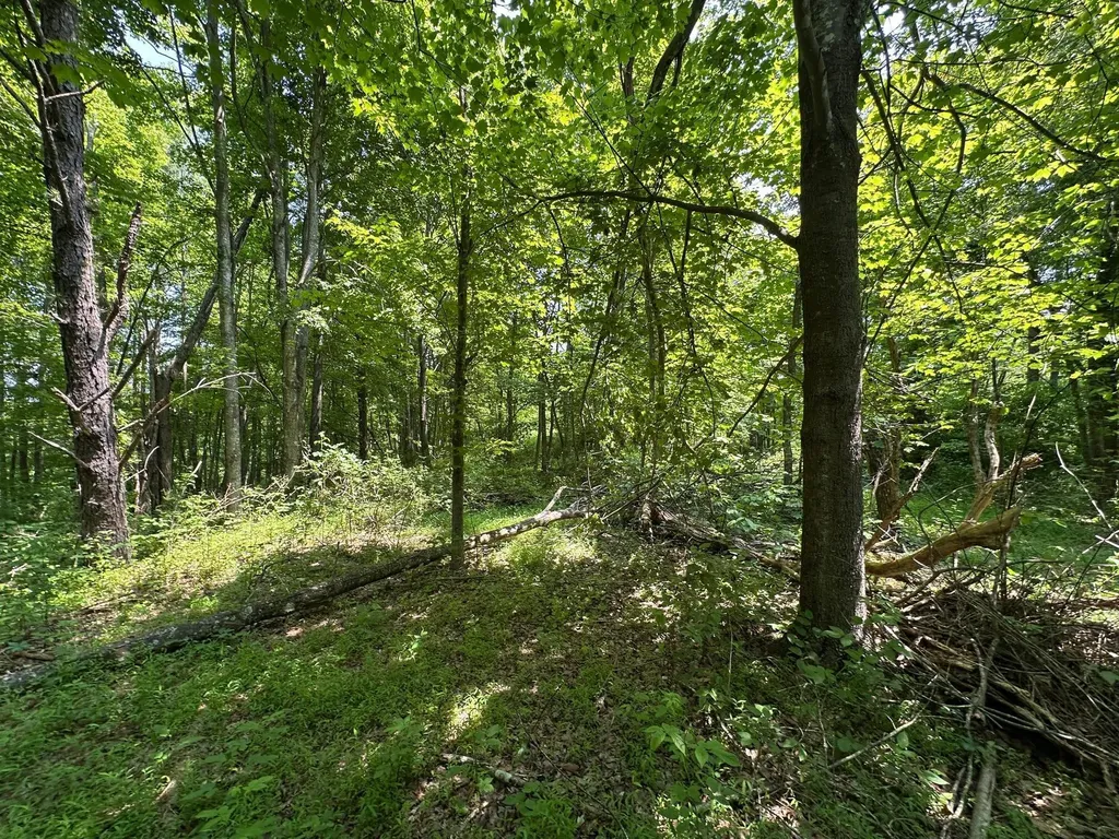 450 Ky Highway 542 Jackson KY 41339