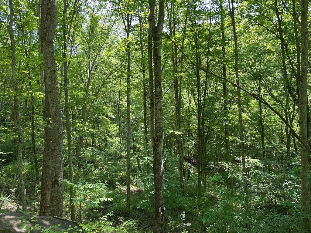 450 Ky Highway 542 Jackson KY 41339