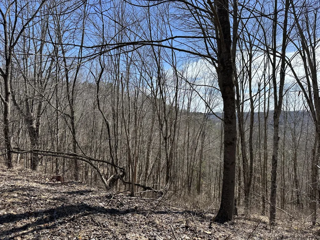 450 Ky Highway 542 Jackson KY 41339