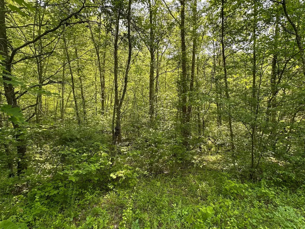 450 Ky Highway 542 Jackson KY 41339