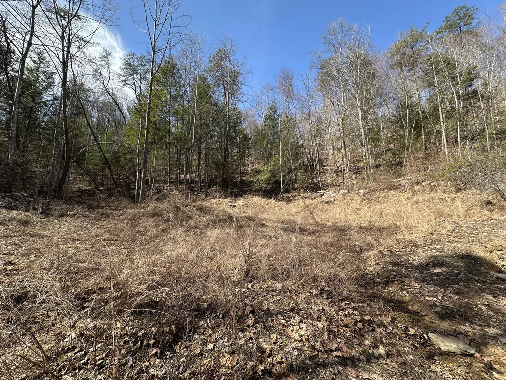 450 Ky Highway 542 Jackson KY 41339