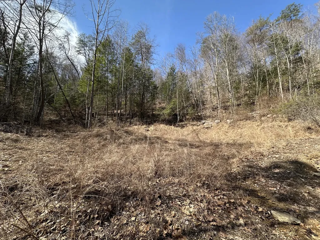 450 Key Highway 542 Jackson KY 41339