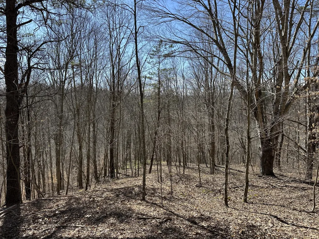 450 Ky Highway 542 Jackson KY 41339