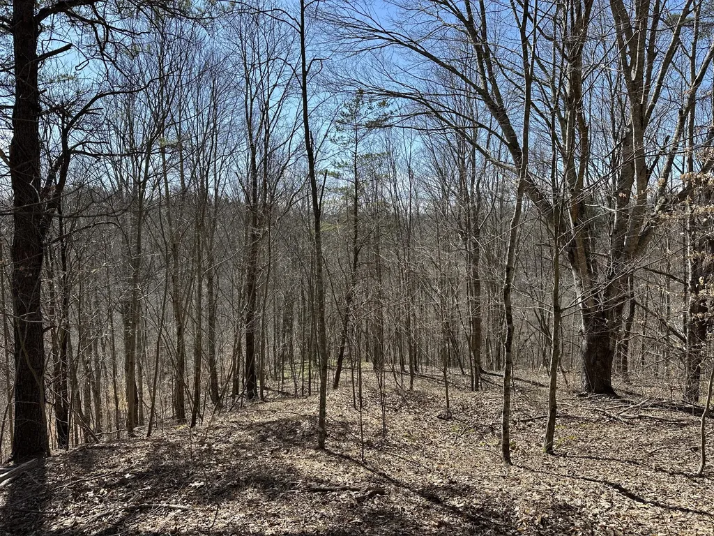 450 Key Highway 542 Jackson KY 41339