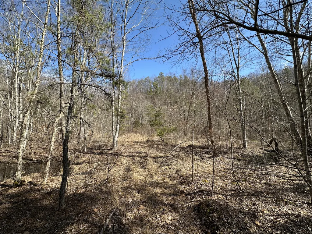 450 Ky Highway 542 Jackson KY 41339
