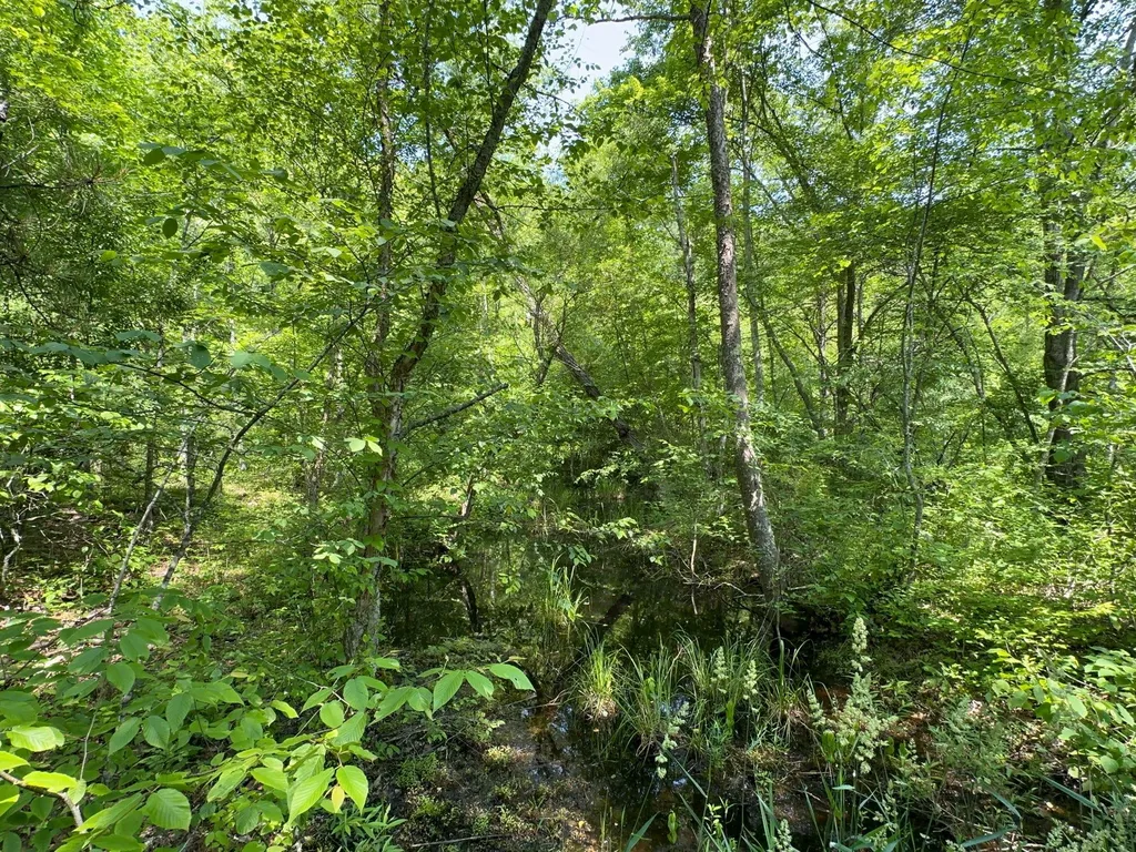 450 Ky Highway 542 Jackson KY 41339