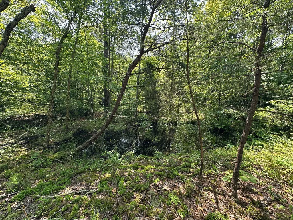450 Ky Highway 542 Jackson KY 41339