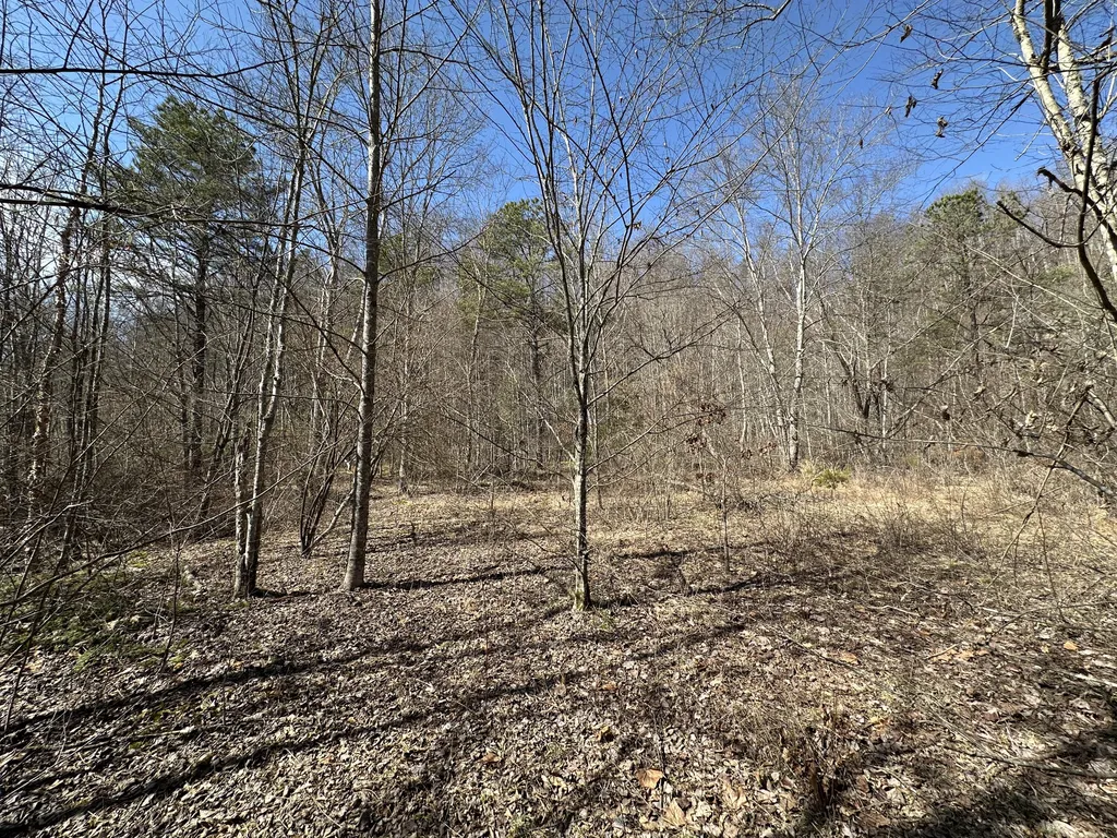 450 Ky Highway 542 Jackson KY 41339