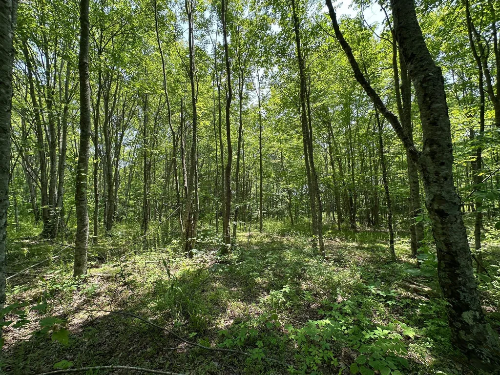 450 Ky Highway 542 Jackson KY 41339