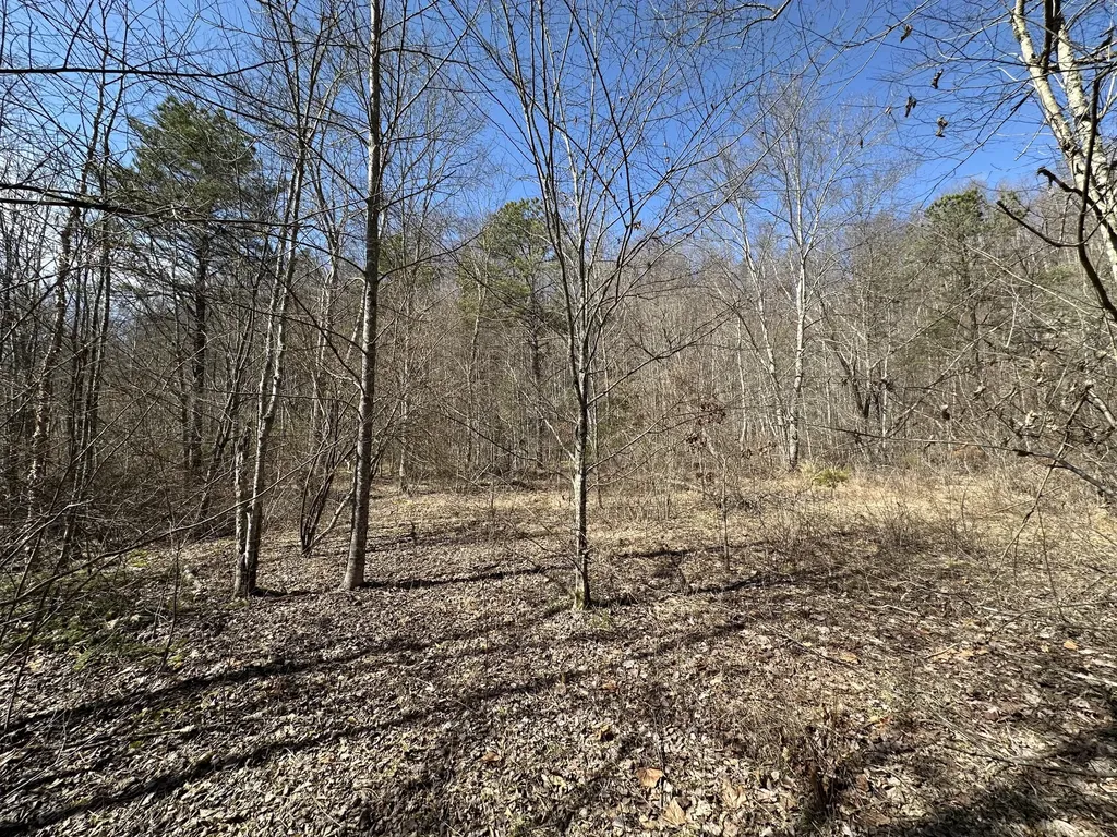 450 Key Highway 542 Jackson KY 41339
