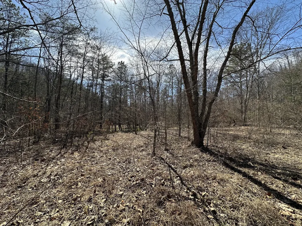 450 Key Highway 542 Jackson KY 41339