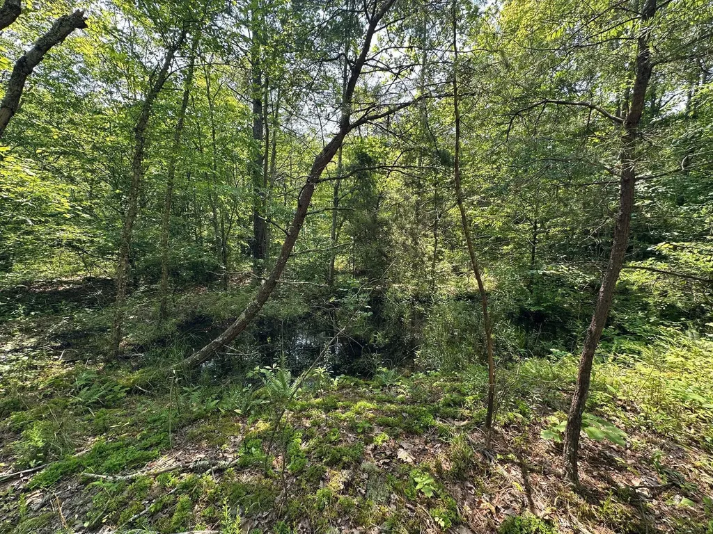 450 Ky Highway 542 Jackson KY 41339