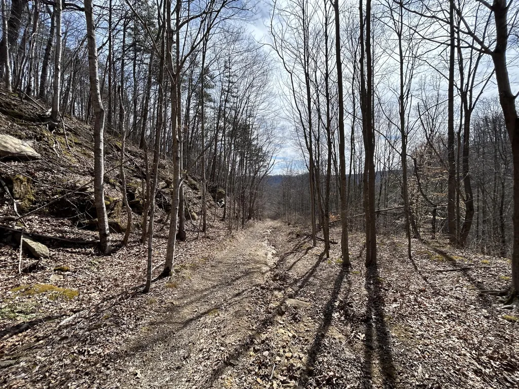 450 Ky Highway 542 Jackson KY 41339
