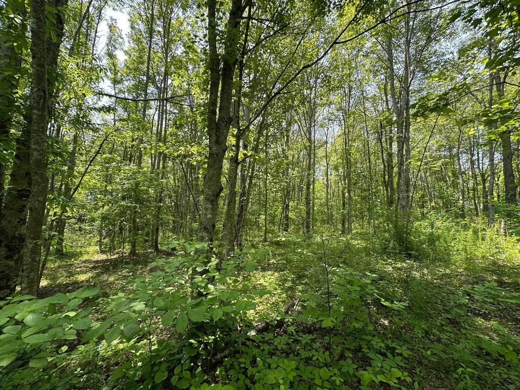 450 Ky Highway 542 Jackson KY 41339