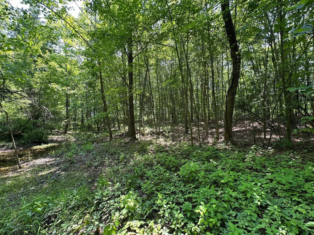 450 Ky Highway 542 Jackson KY 41339