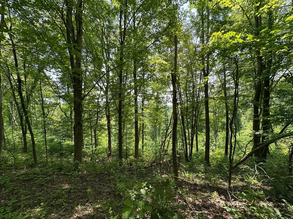 450 Ky Highway 542 Jackson KY 41339