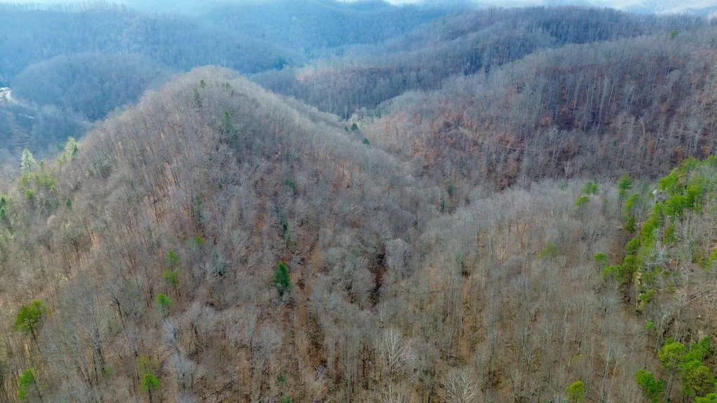 450 Ky Highway 542 Jackson KY 41339