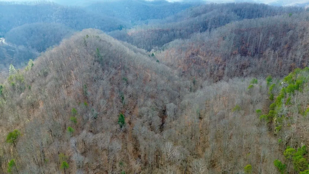 450 Key Highway 542 Jackson KY 41339