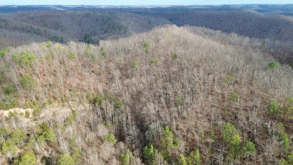 450 Ky Highway 542 Jackson KY 41339