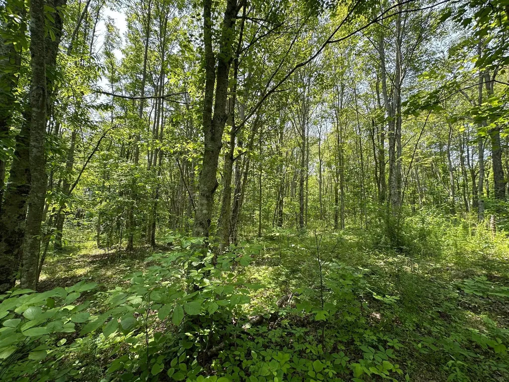 450 Ky Highway 542 Jackson KY 41339