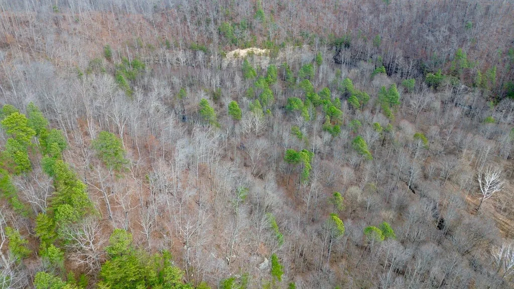 450 Ky Highway 542 Jackson KY 41339