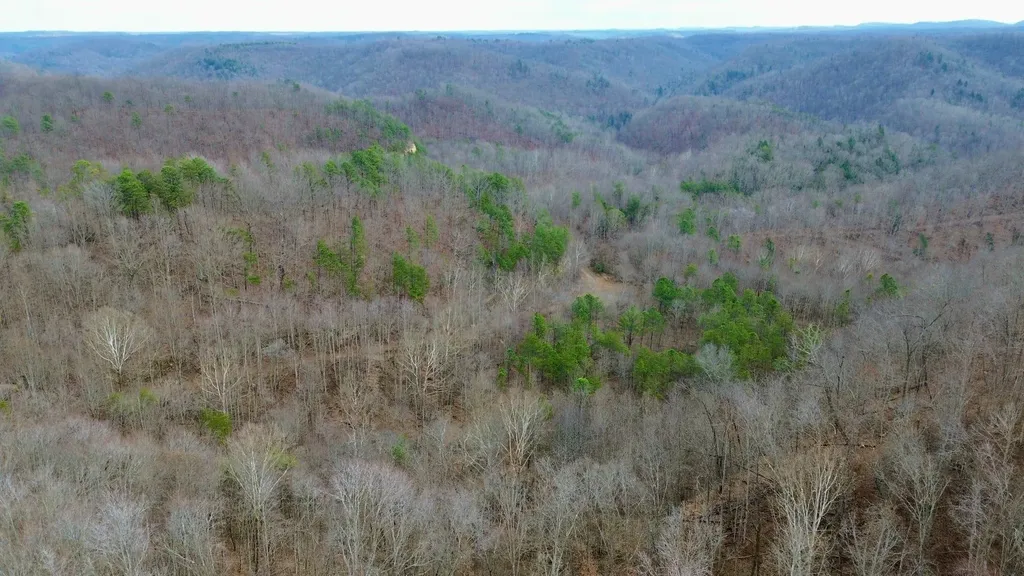 450 Key Highway 542 Jackson KY 41339