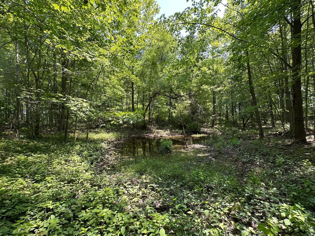 450 Ky Highway 542 Jackson KY 41339
