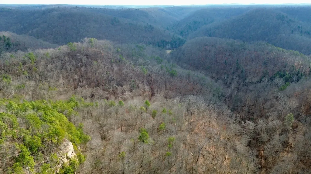 450 Key Highway 542 Jackson KY 41339