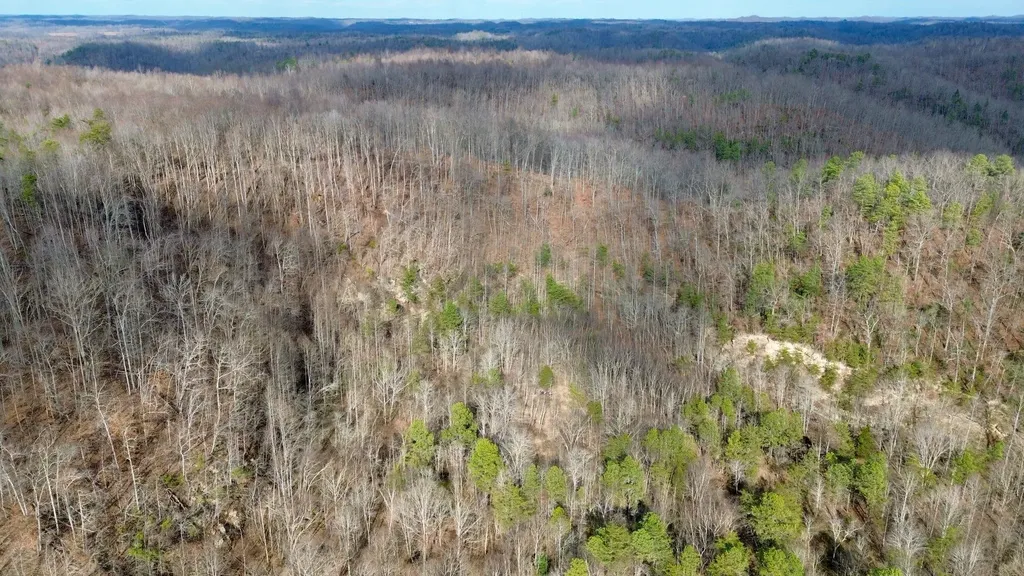 450 Key Highway 542 Jackson KY 41339