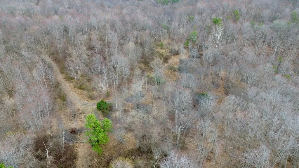 450 Key Highway 542 Jackson KY 41339