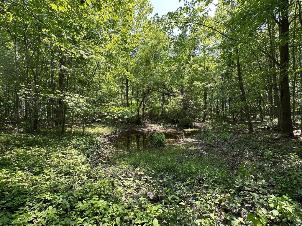 450 Ky Highway 542 Jackson KY 41339