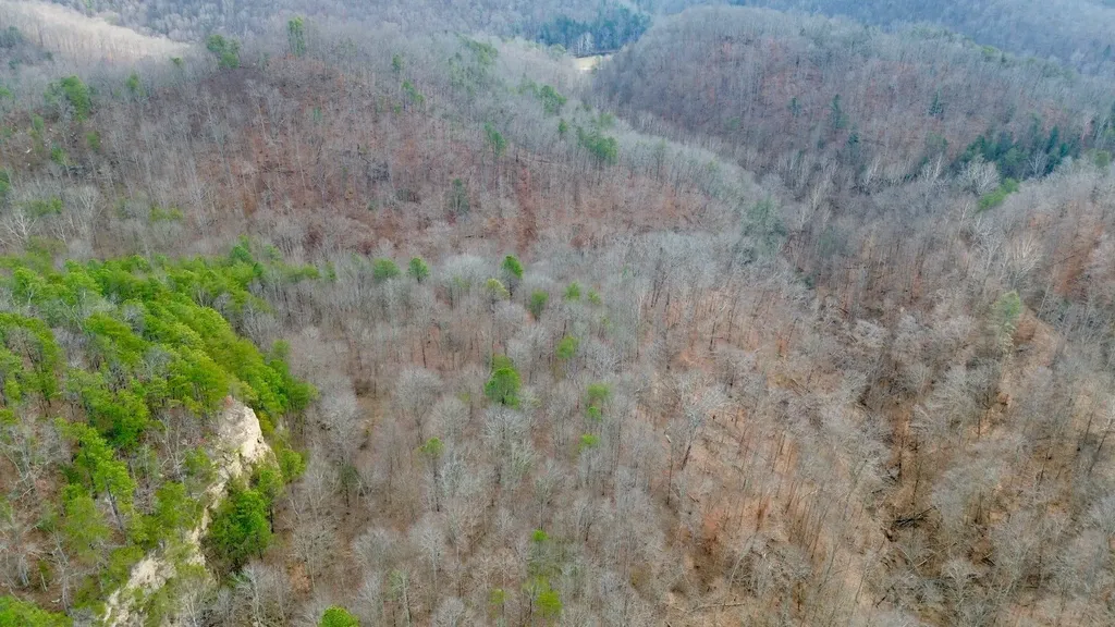 450 Key Highway 542 Jackson KY 41339