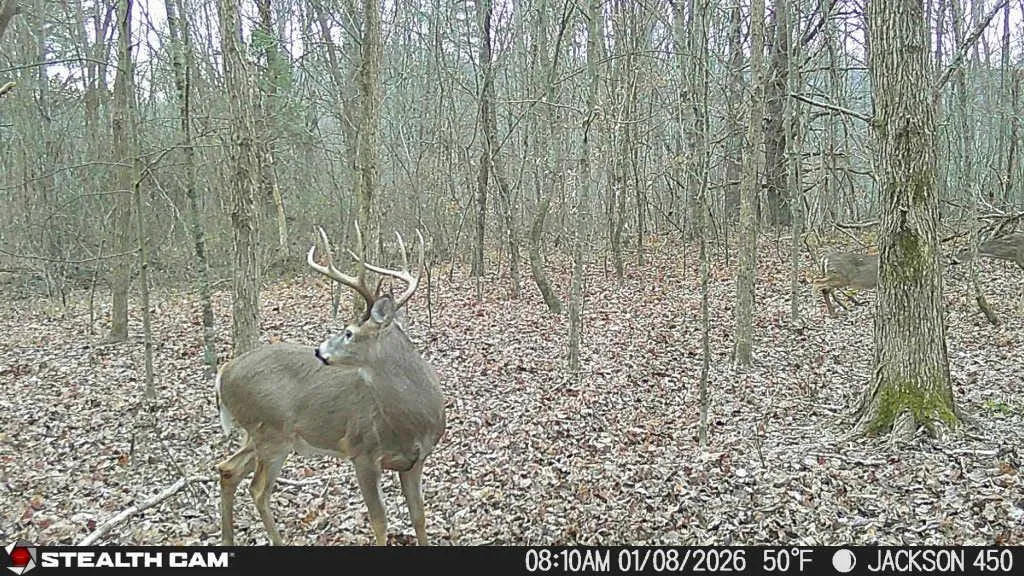 450 Ky Highway 542 Jackson KY 41339