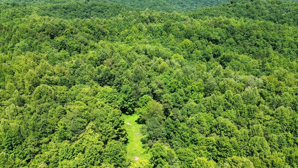 450 Ky Highway 542 Jackson KY 41339