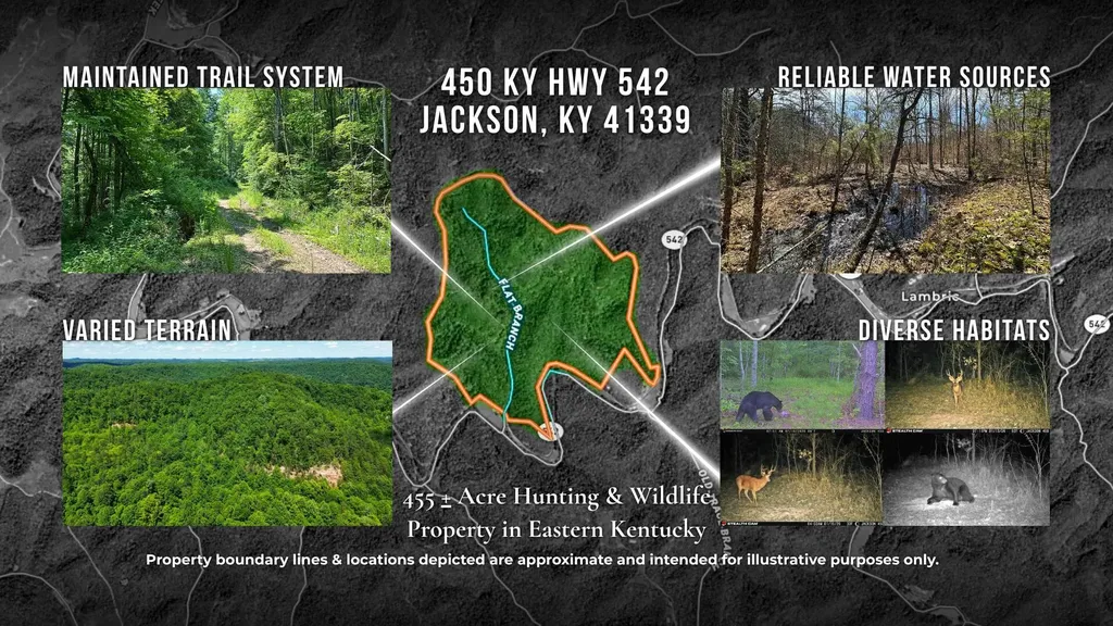 450 Ky Highway 542 Jackson KY 41339