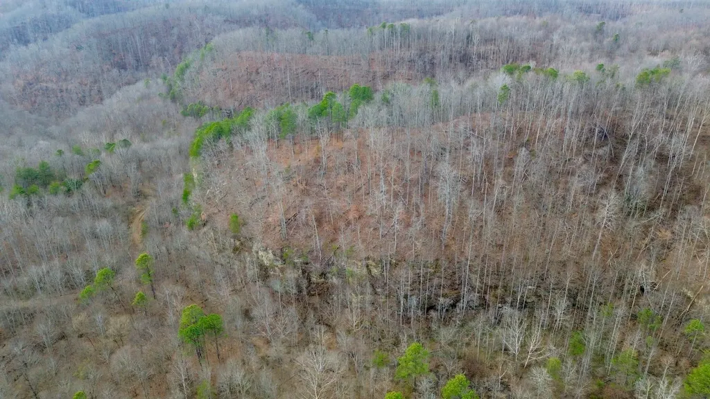450 Key Highway 542 Jackson KY 41339