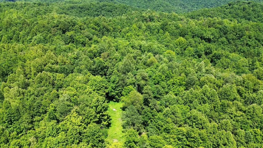 450 Ky Highway 542 Jackson KY 41339