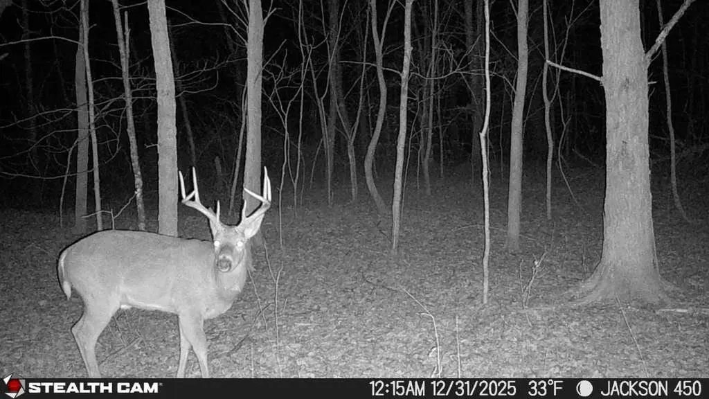 450 Ky Highway 542 Jackson KY 41339