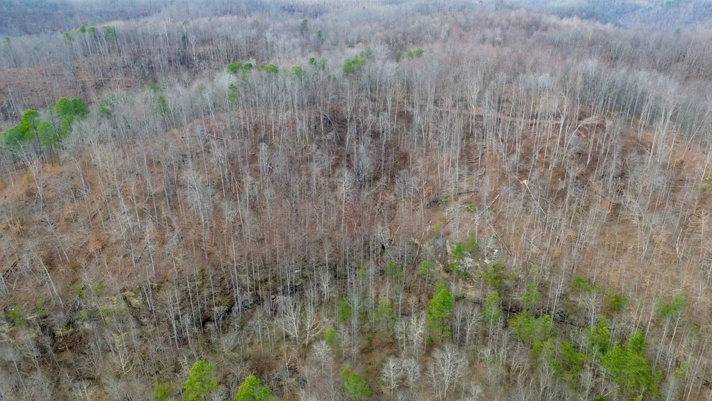 450 Key Highway 542 Jackson KY 41339