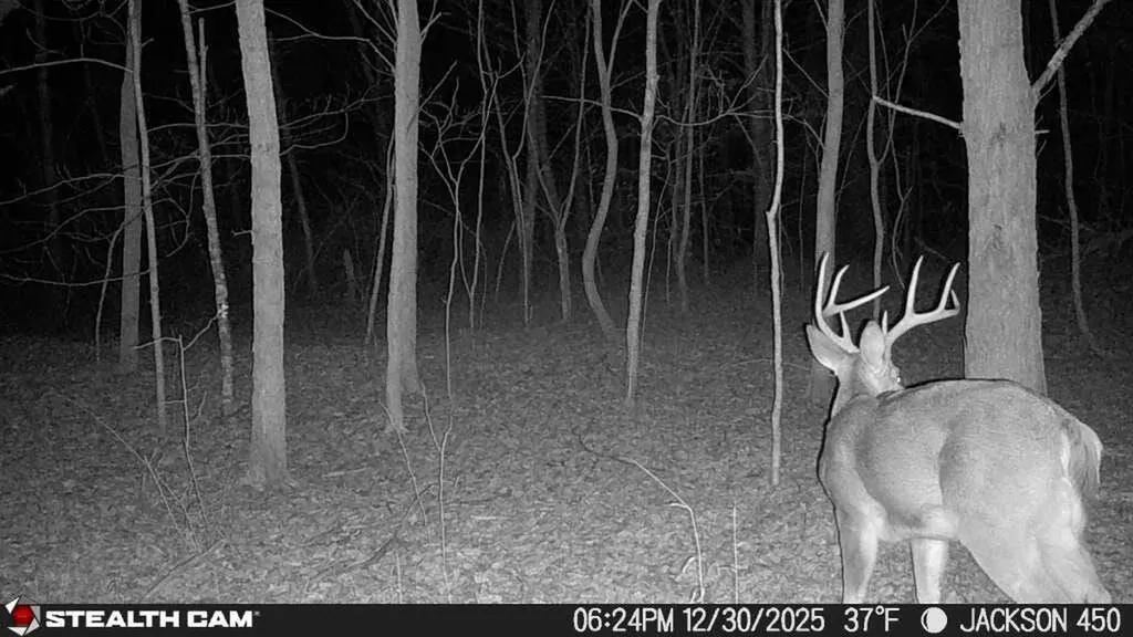 450 Ky Highway 542 Jackson KY 41339