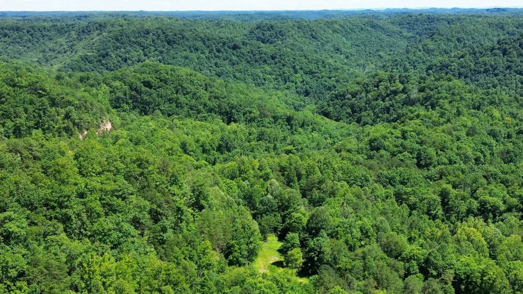 450 Ky Highway 542 Jackson KY 41339
