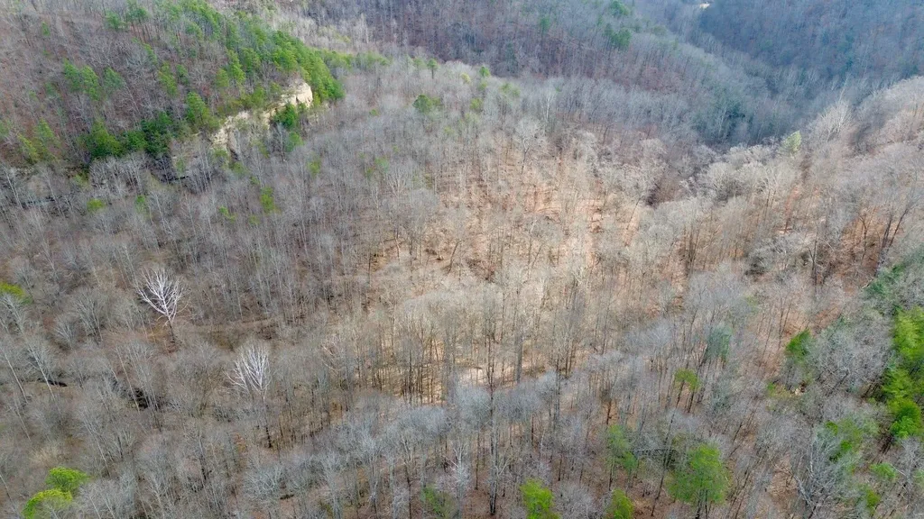 450 Key Highway 542 Jackson KY 41339