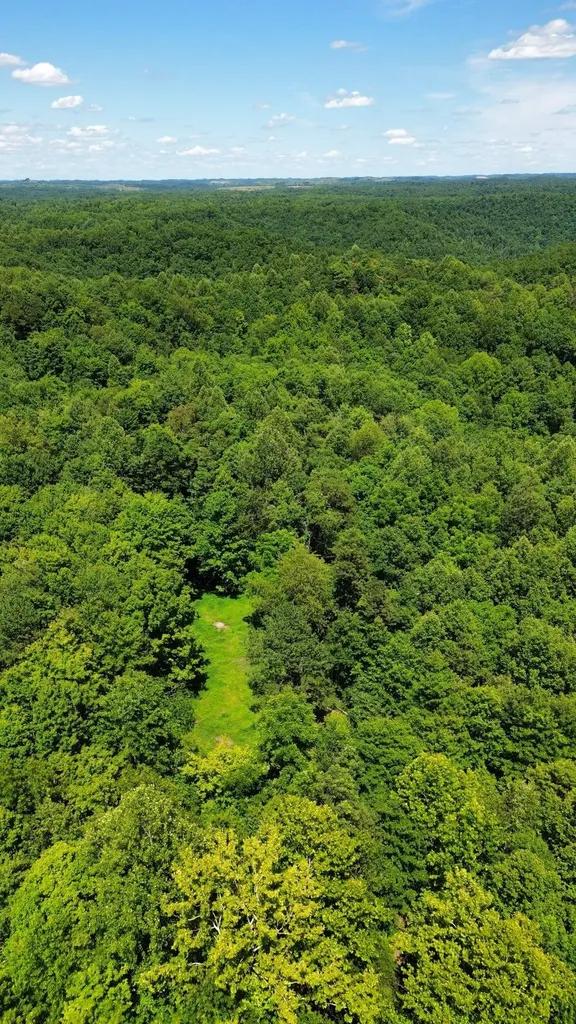 450 Ky Highway 542 Jackson KY 41339