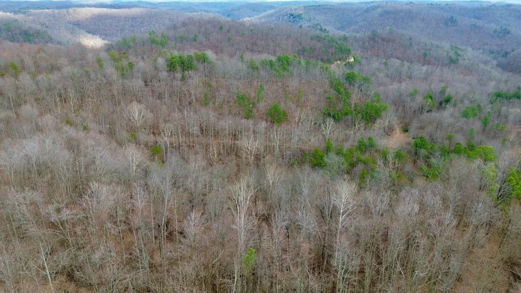 450 Key Highway 542 Jackson KY 41339