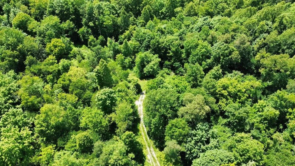 450 Ky Highway 542 Jackson KY 41339