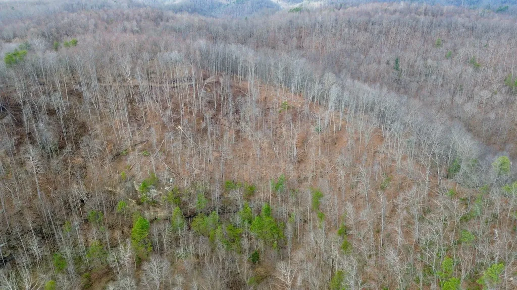 450 Key Highway 542 Jackson KY 41339